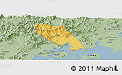 Savanna Style Panoramic Map of Tongan