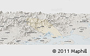 Shaded Relief Panoramic Map of Tongan, semi-desaturated
