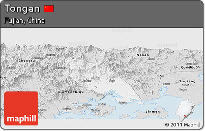 Silver Style Panoramic Map of Tongan