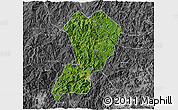 Satellite 3D Map of Zhangping, desaturated