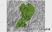 Satellite 3D Map of Zhangping, lighten, desaturated
