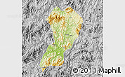 Physical Map of Zhangping, desaturated