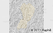 Shaded Relief Map of Zhangping, desaturated