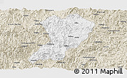 Classic Style Panoramic Map of Zhangping