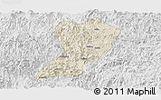 Shaded Relief Panoramic Map of Zhangping, lighten, desaturated
