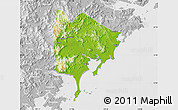 Physical Map of Zhangpu, lighten, desaturated