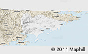 Classic Style Panoramic Map of Zhangpu