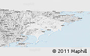 Silver Style Panoramic Map of Zhangpu