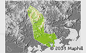 Physical 3D Map of Zhaoan, desaturated