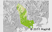 Physical 3D Map of Zhaoan, lighten, desaturated
