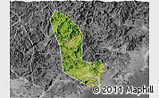 Satellite 3D Map of Zhaoan, desaturated
