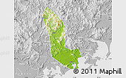 Physical Map of Zhaoan, lighten, desaturated