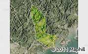 Satellite Map of Zhaoan, semi-desaturated