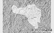 Gray Map of Zhenghe