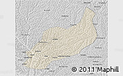 Shaded Relief 3D Map of Heshui, desaturated