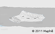 Gray Panoramic Map of Huating, single color outside