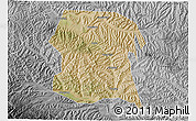 Satellite 3D Map of Longxi, desaturated