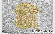 Satellite 3D Map of Longxi, lighten, desaturated