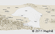 Classic Style Panoramic Map of Minle
