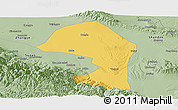 Savanna Style Panoramic Map of Minle