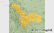 Savanna Style Map of Tianzhu