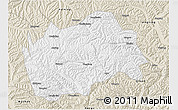 Classic Style 3D Map of Tongwei