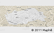 Classic Style Panoramic Map of Tongwei