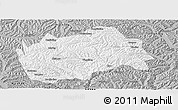 Gray Panoramic Map of Tongwei