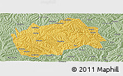 Savanna Style Panoramic Map of Tongwei