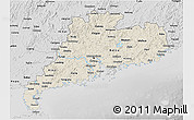 Shaded Relief 3D Map of Guangdong, desaturated