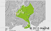 Physical 3D Map of Enping, lighten, desaturated