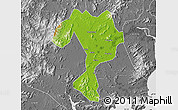 Physical Map of Kaiping, desaturated