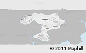 Gray Panoramic Map of Kaiping, single color outside