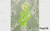 Physical Map of Longchuan, semi-desaturated