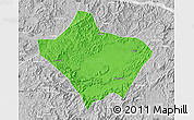 Political Map of Luoding, lighten, desaturated
