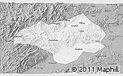 Gray 3D Map of Nanxiong
