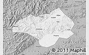 Gray Map of Nanxiong