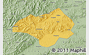 Savanna Style Map of Nanxiong