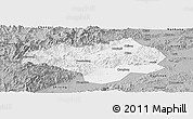 Gray Panoramic Map of Nanxiong
