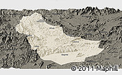 Shaded Relief Panoramic Map of Qingyuan, darken