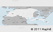 Gray Panoramic Map of Suixi