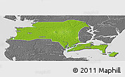 Physical Panoramic Map of Suixi, desaturated