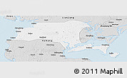 Silver Style Panoramic Map of Suixi