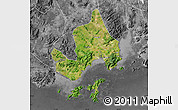 Satellite Map of Taishan, desaturated