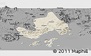 Shaded Relief Panoramic Map of Taishan, darken, desaturated