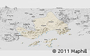 Shaded Relief Panoramic Map of Taishan, desaturated
