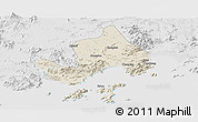 Shaded Relief Panoramic Map of Taishan, lighten, desaturated