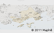 Shaded Relief Panoramic Map of Taishan, lighten, semi-desaturated
