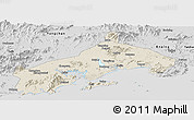 Shaded Relief Panoramic Map of Yangjiang, desaturated