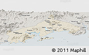 Shaded Relief Panoramic Map of Yangjiang, semi-desaturated